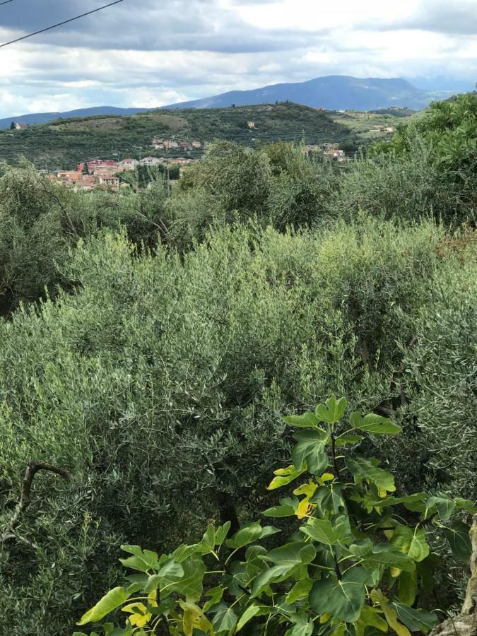 Matilde Affittacamere Verona